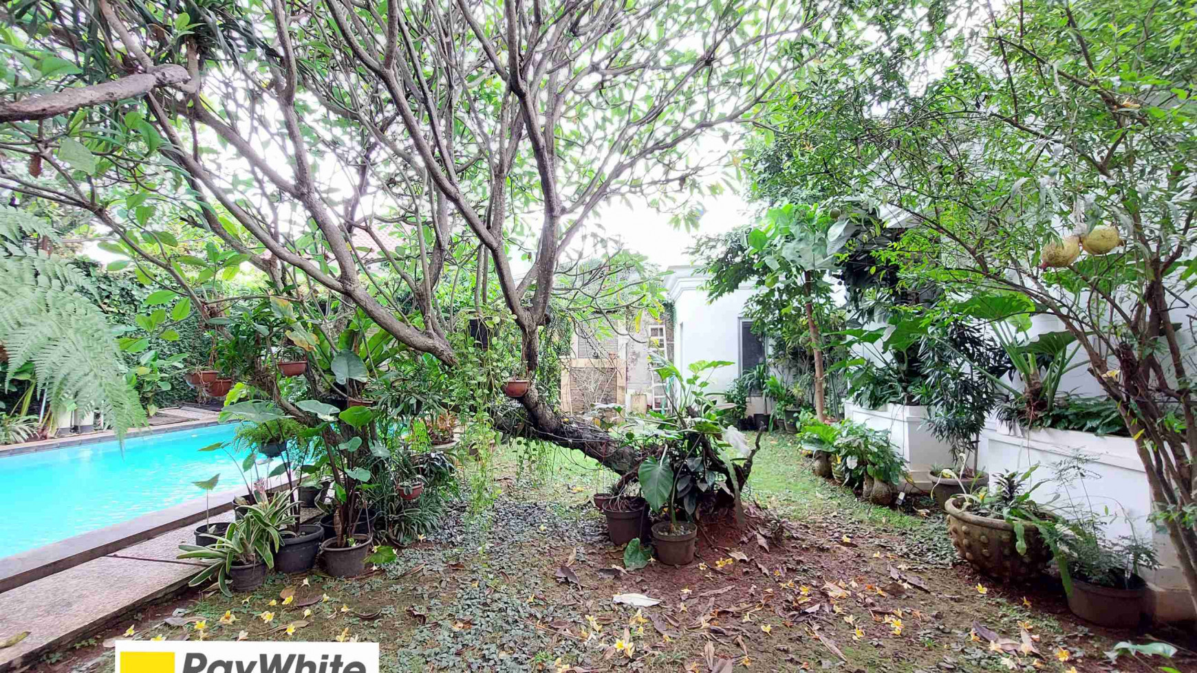 DIJUAL CEPAT RUMAH DI TAMAN CILANDAK, JAKSEL, PRIVATE POOL, SELANGKAH KE MRT FATMAWATI