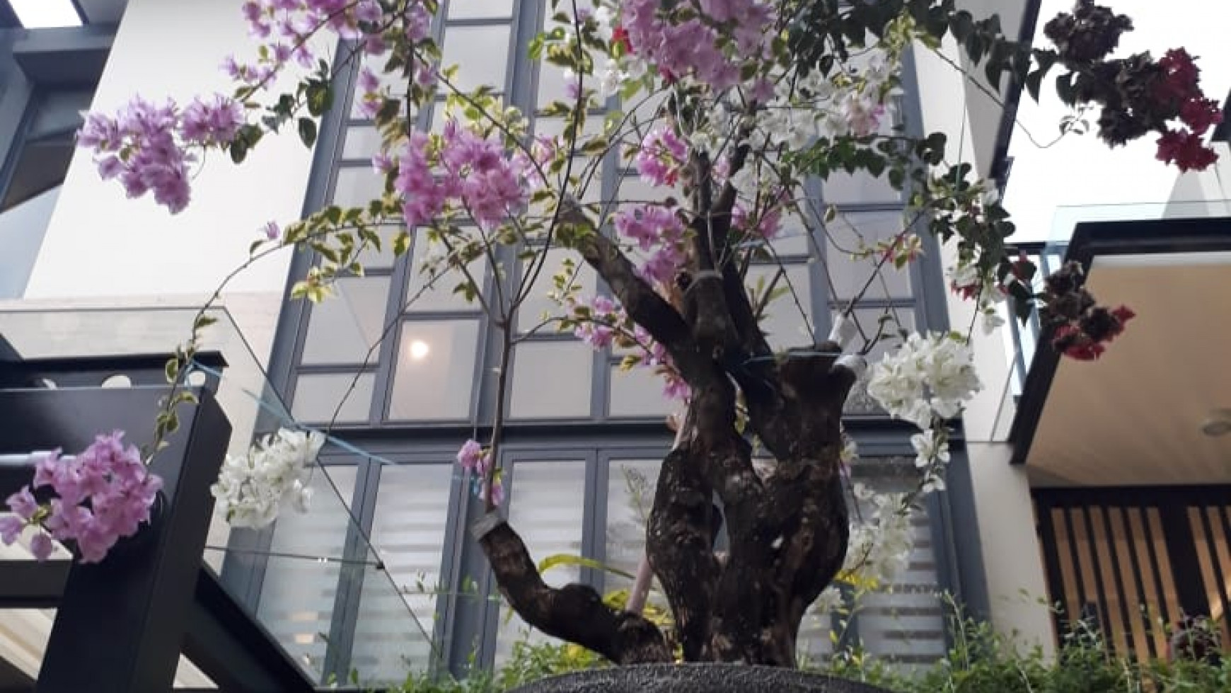 Di jual Rumah elite renovated Lance wood, Nava Park