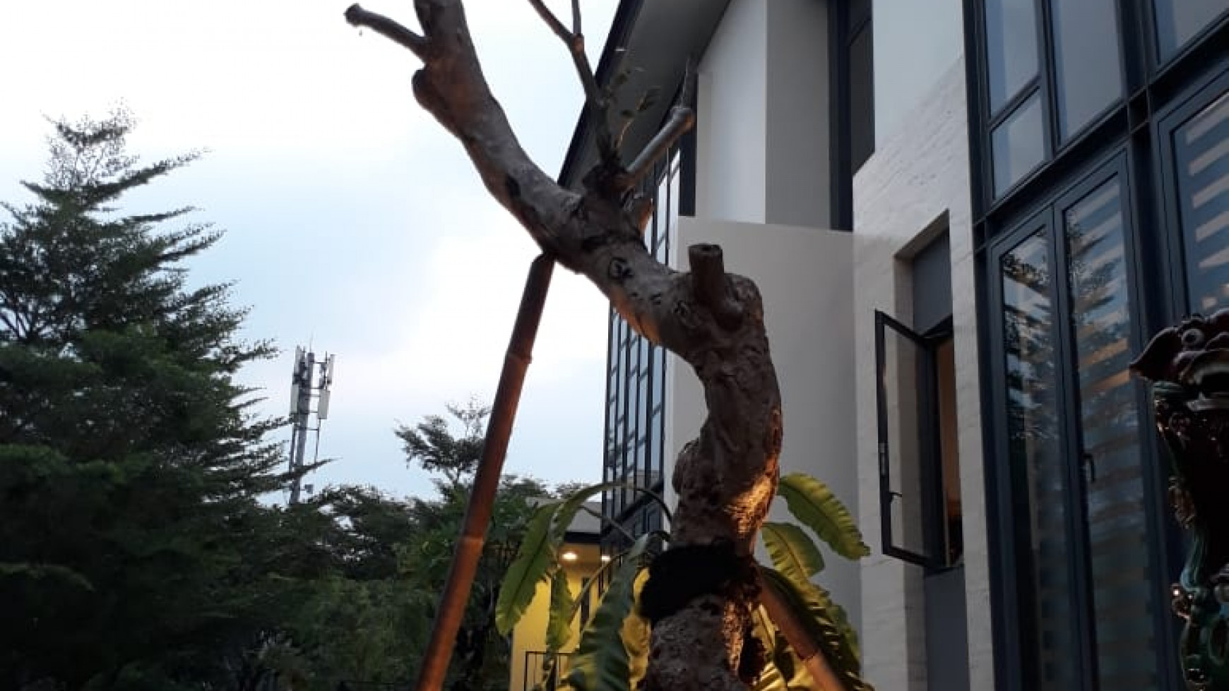 Di jual Rumah elite renovated Lance wood, Nava Park