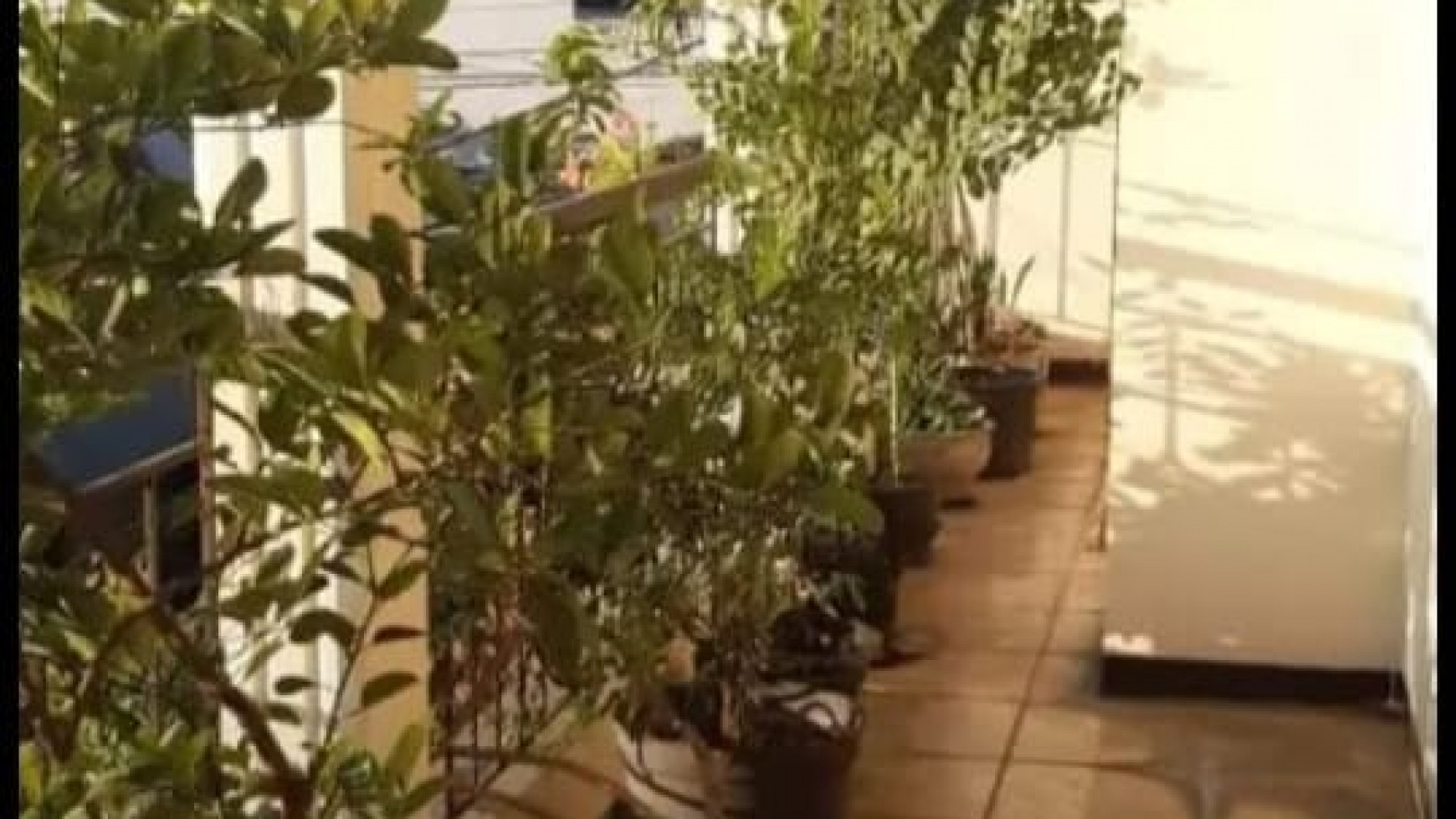 Dijual Rumah Hunian Nyaman Cocok Untuk Kos Di Ploso Timur