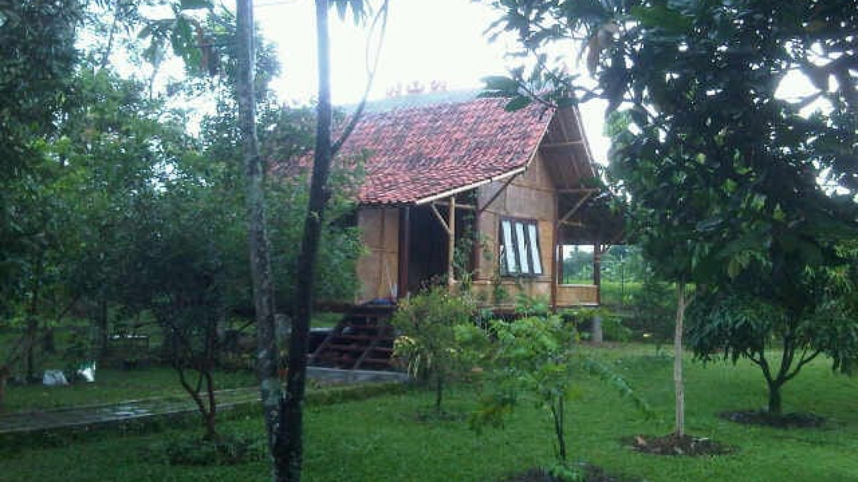 For Sale Kebun Buah , sawah dan Villa area Dramaga Bogor