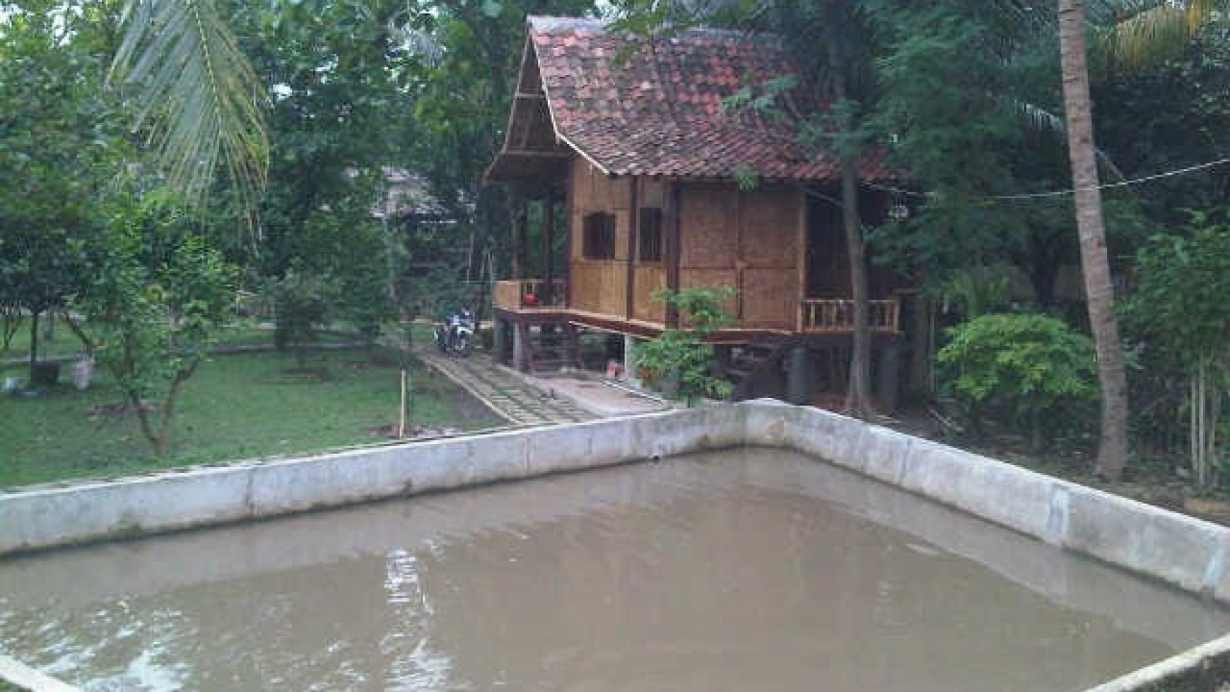 For Sale Kebun Buah , sawah dan Villa area Dramaga Bogor