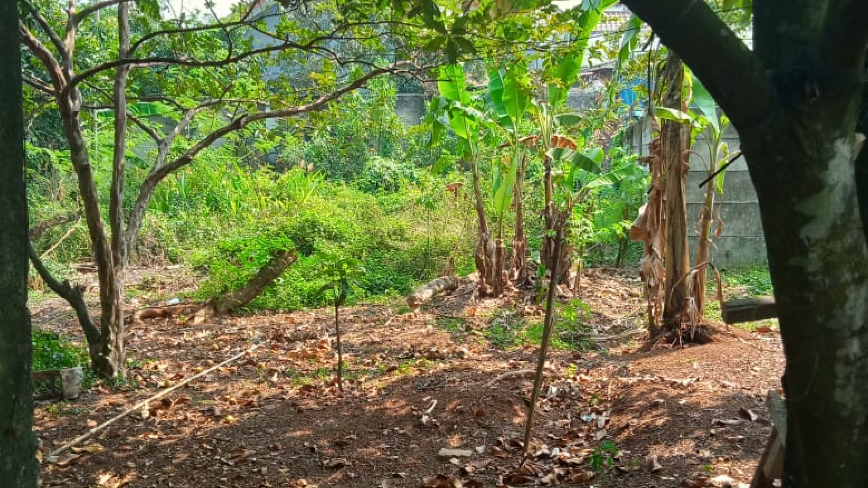 Tanah sangat murah di Meruyung, lingkungan dekat perumahan