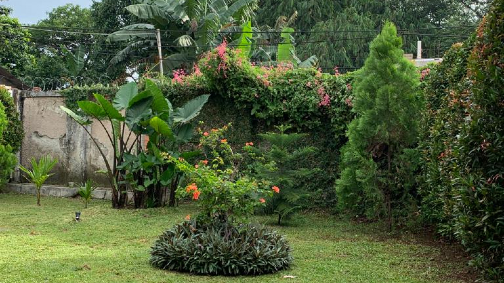 Rumah Siap Huni Dengan Halaman Luas @Jl Beo, Sawah, Ciputat