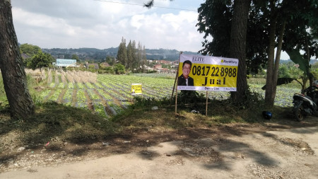 Menarik Kavling Tanah di Jalan Lapang sayap Cikole Lembang asri sejuk nyaman.