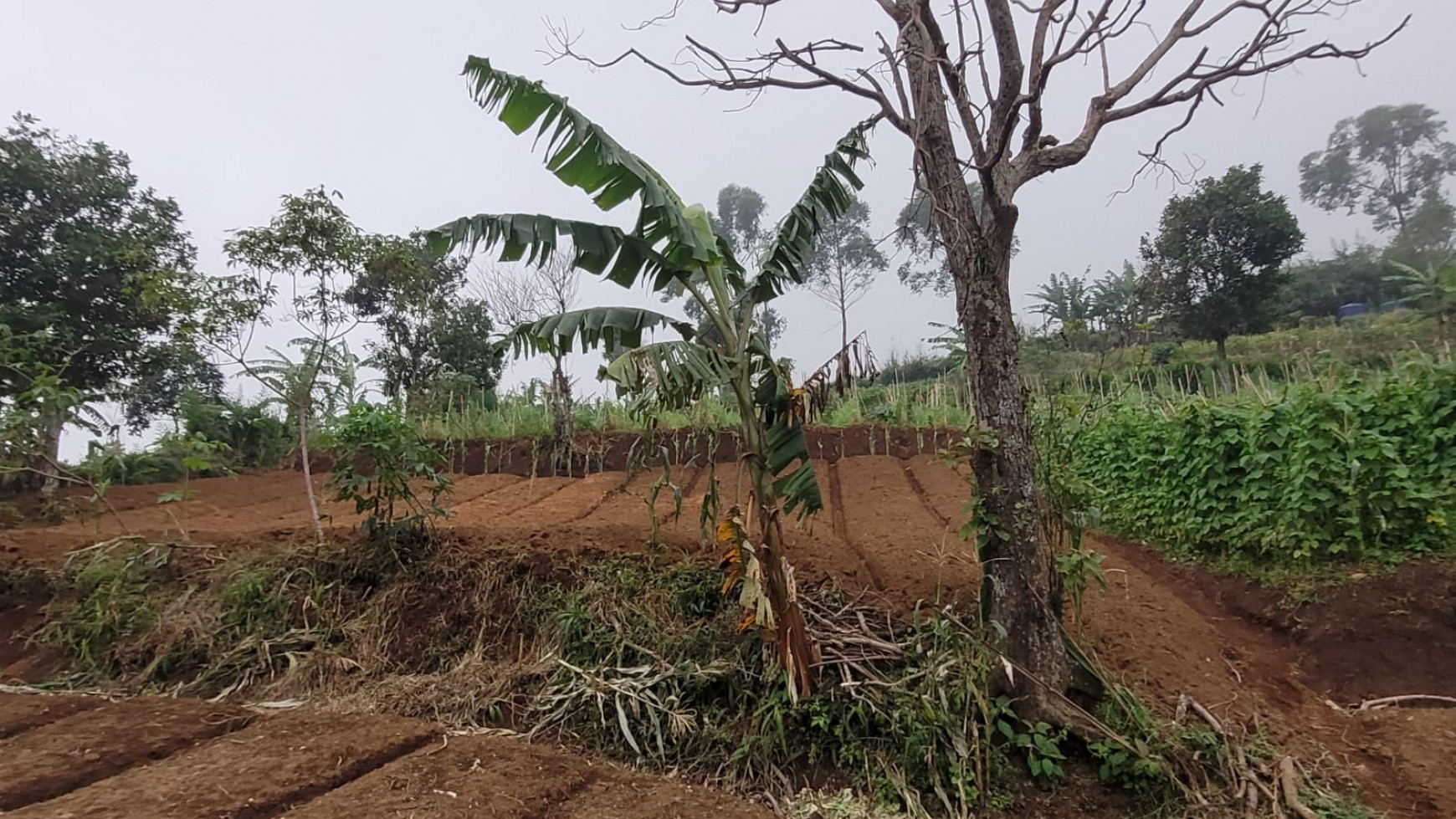 Dijual Kavling di Puncak Bogor, Batulawang dekat Kota Bunga