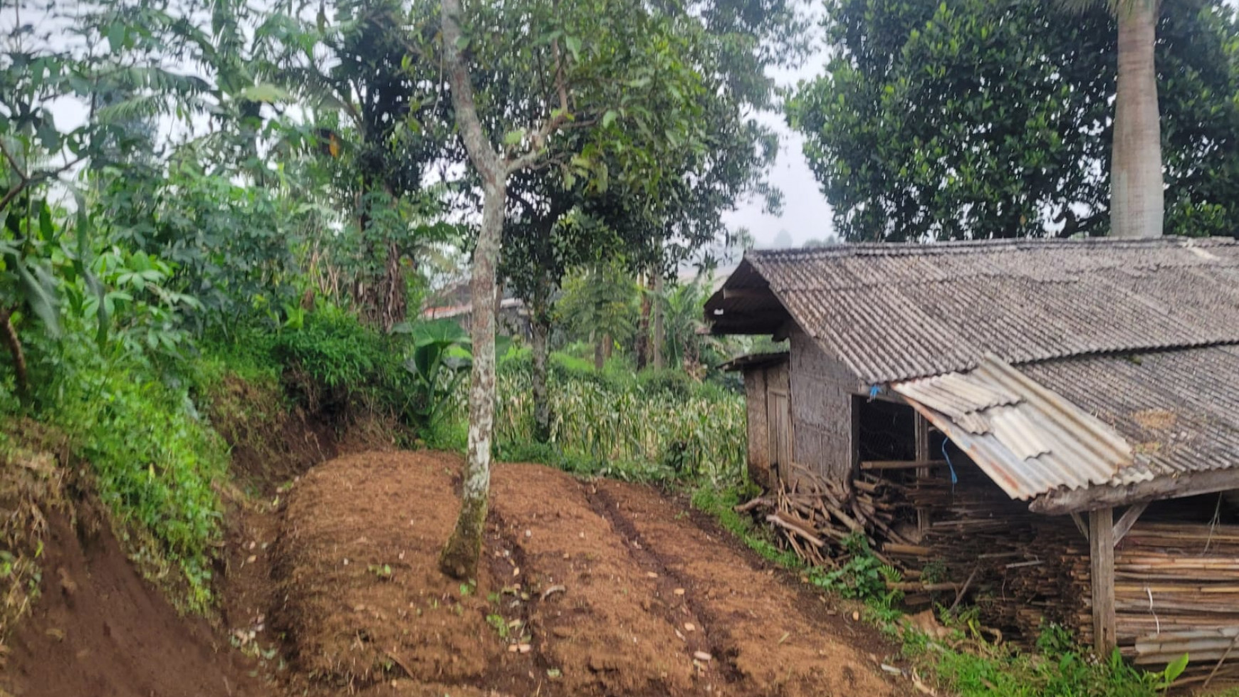 Dijual Kavling di Puncak Bogor, Batulawang dekat Kota Bunga