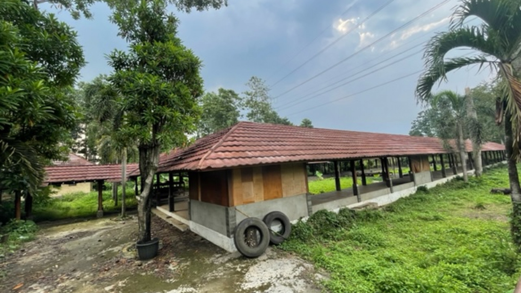 Tanah KH. Sholeh Iskandar, Kedung Badak, Bogor Luas 29.000m2