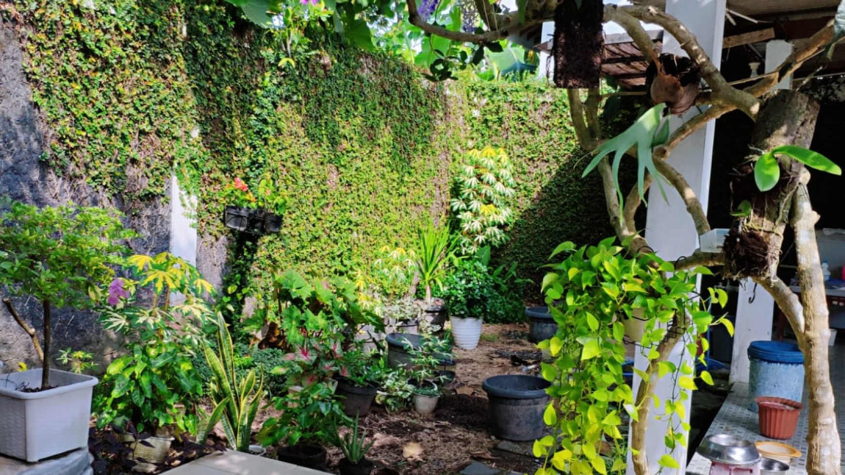 RUMAH DENGAN VIEW MERAPI