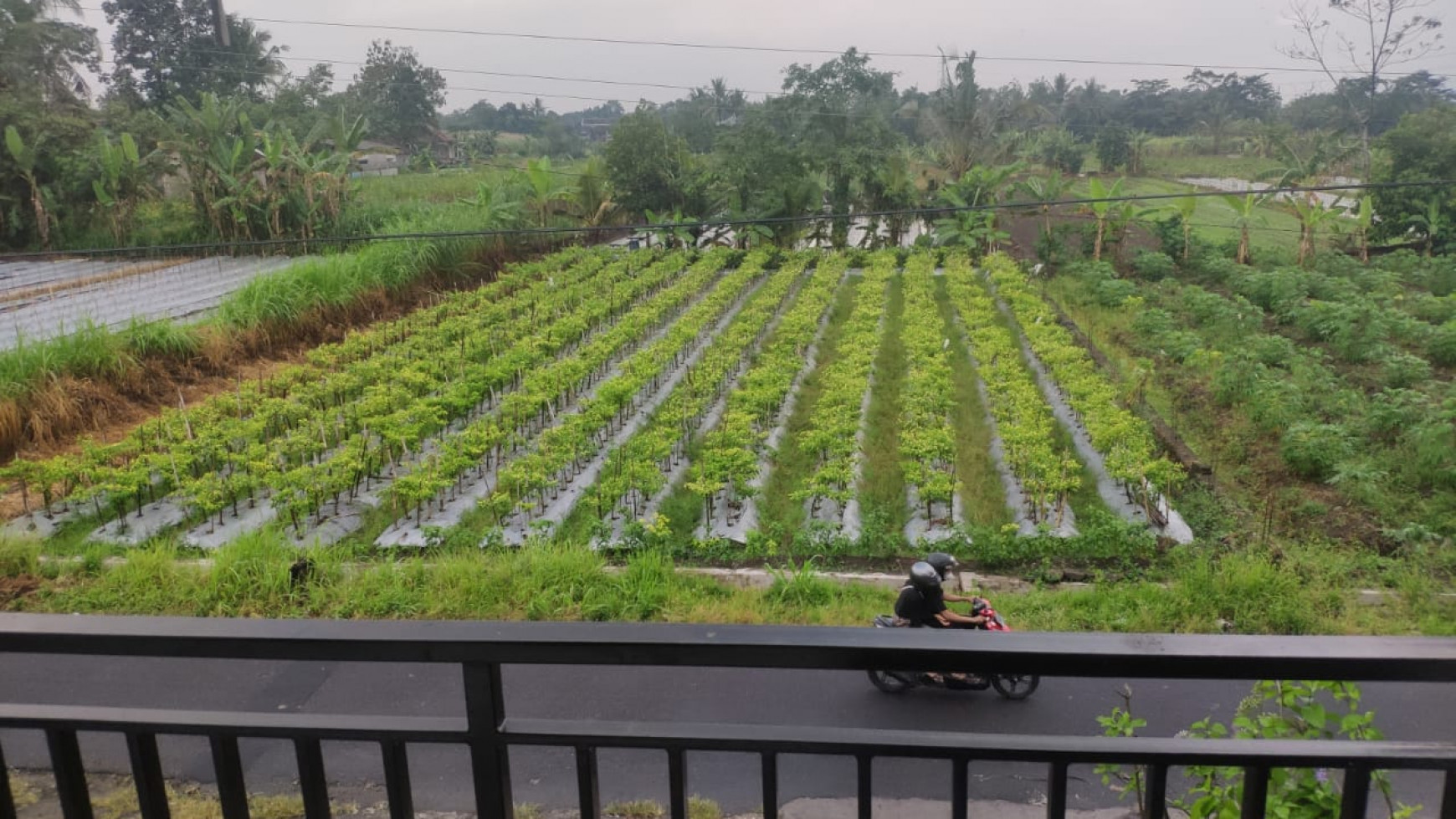 RUMAH DENGAN VIEW MERAPI