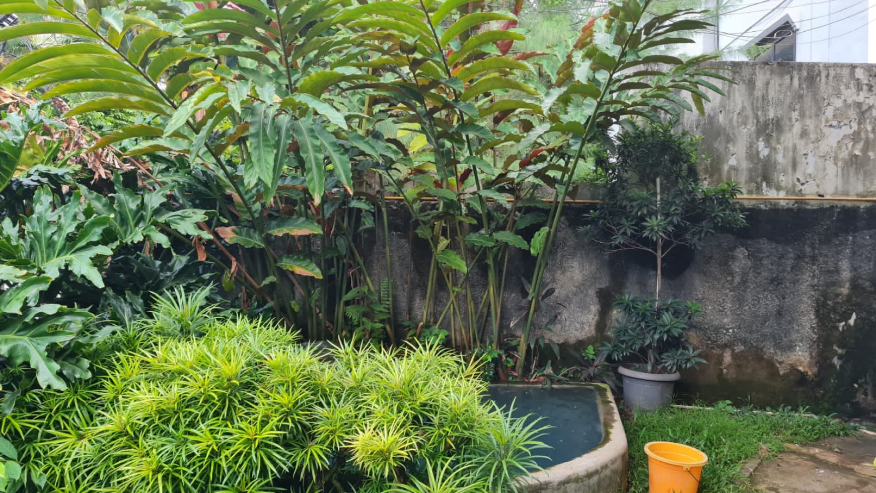 Dijual Rumah Hitung Tanah Gondangdia Menteng