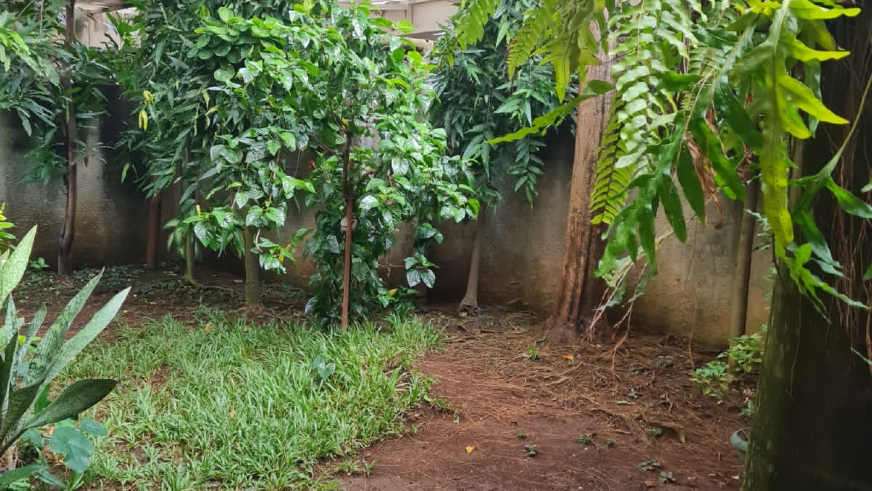 Dijual Rumah Hitung Tanah Gondangdia Menteng