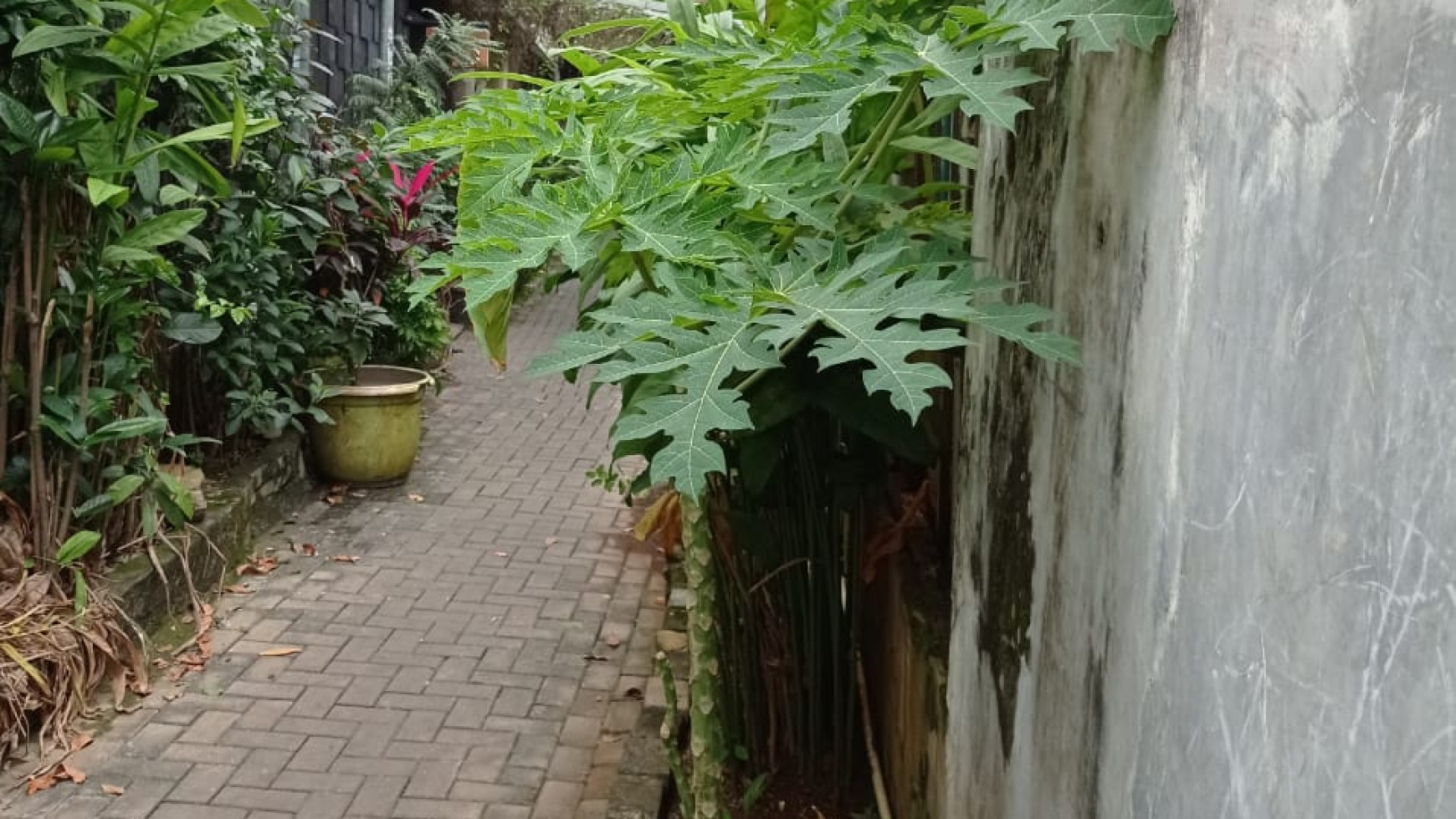 Rumah siap huni di ciledug