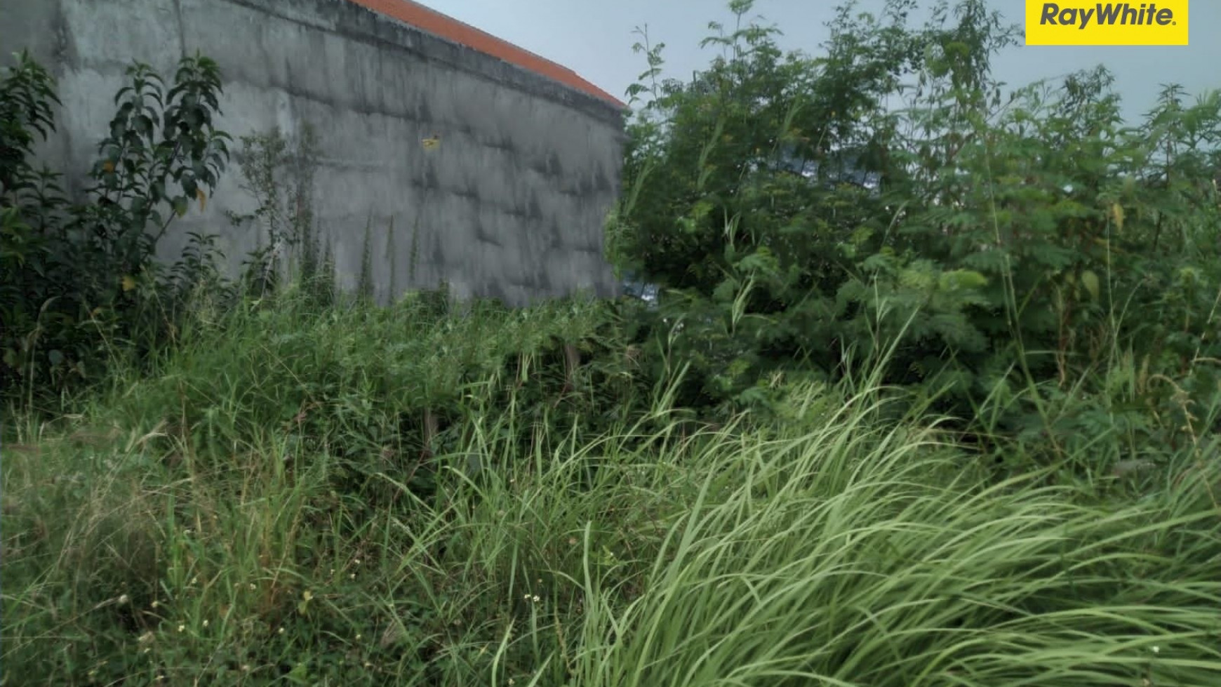 Tanah SHM di Nol Jalan Raya Menganti, Wonokoyo, Gresik