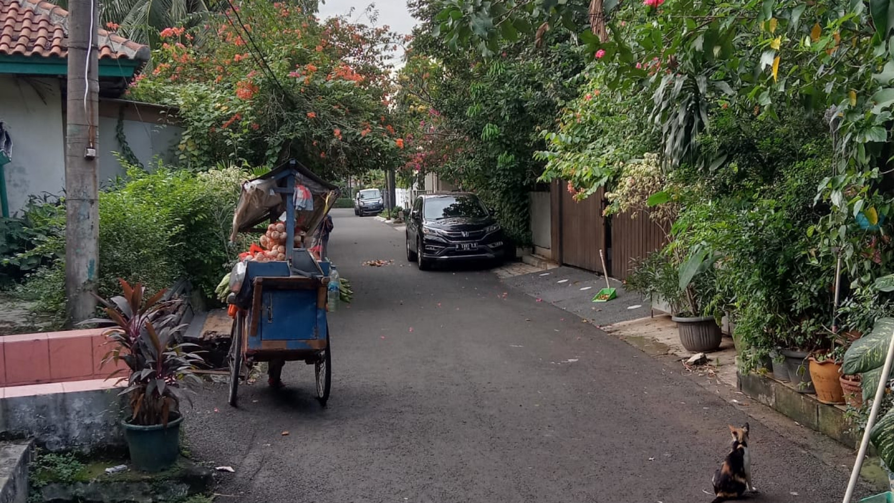 Lokasi terletak di daerah nyaman