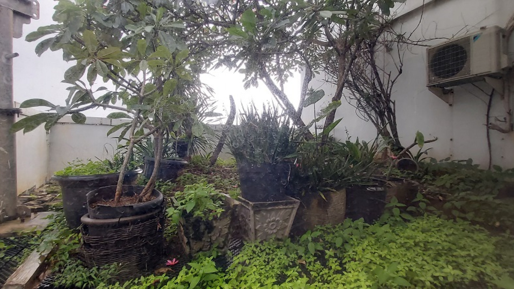 Dijual Cepat Penthouse di Cervino Village Apartement, Tebet, Unit Pojokan, dijual di bawah harga NJOP