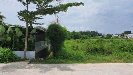 TANAH DI JUAL DI JAMBON