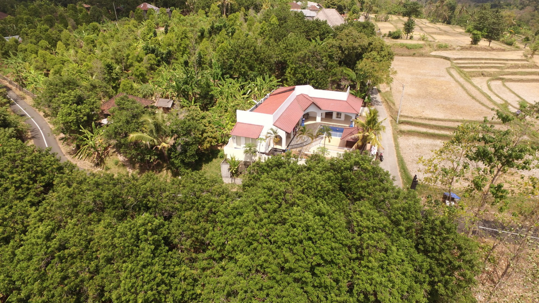 LARGE VILLA 15 MINUTES FROM LOVINA SITUATED IN QUIET AREA