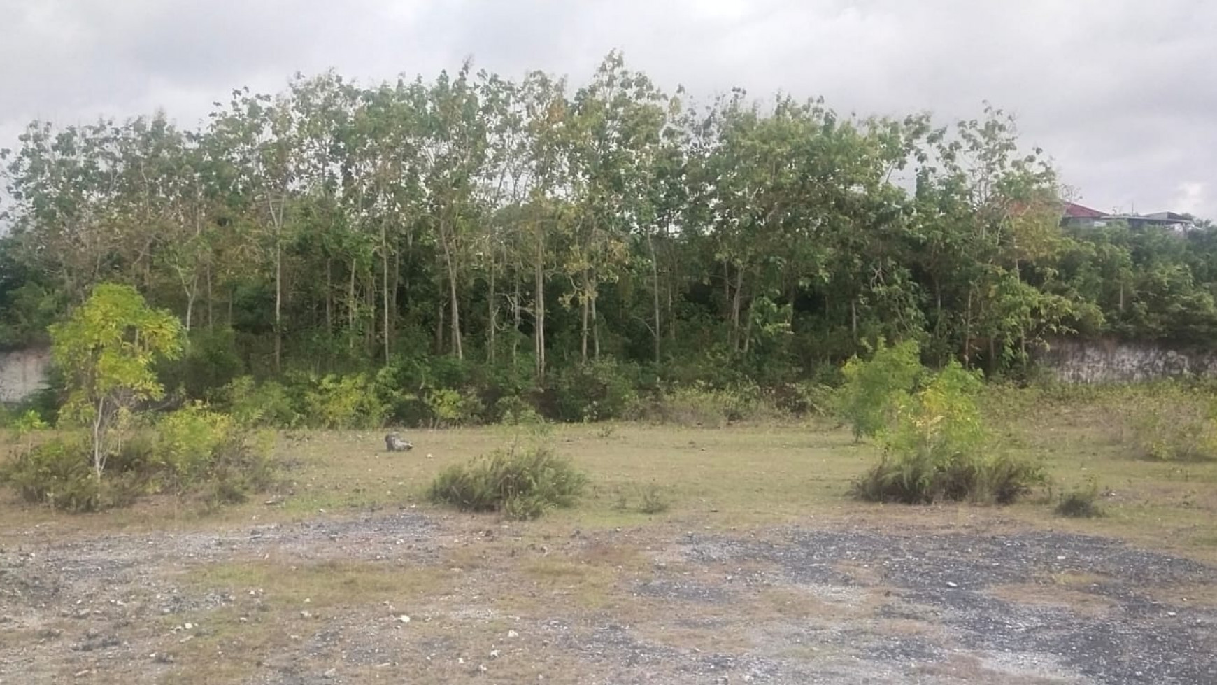 Freehold land 13800 sqm area Ungasan - Jimbaran