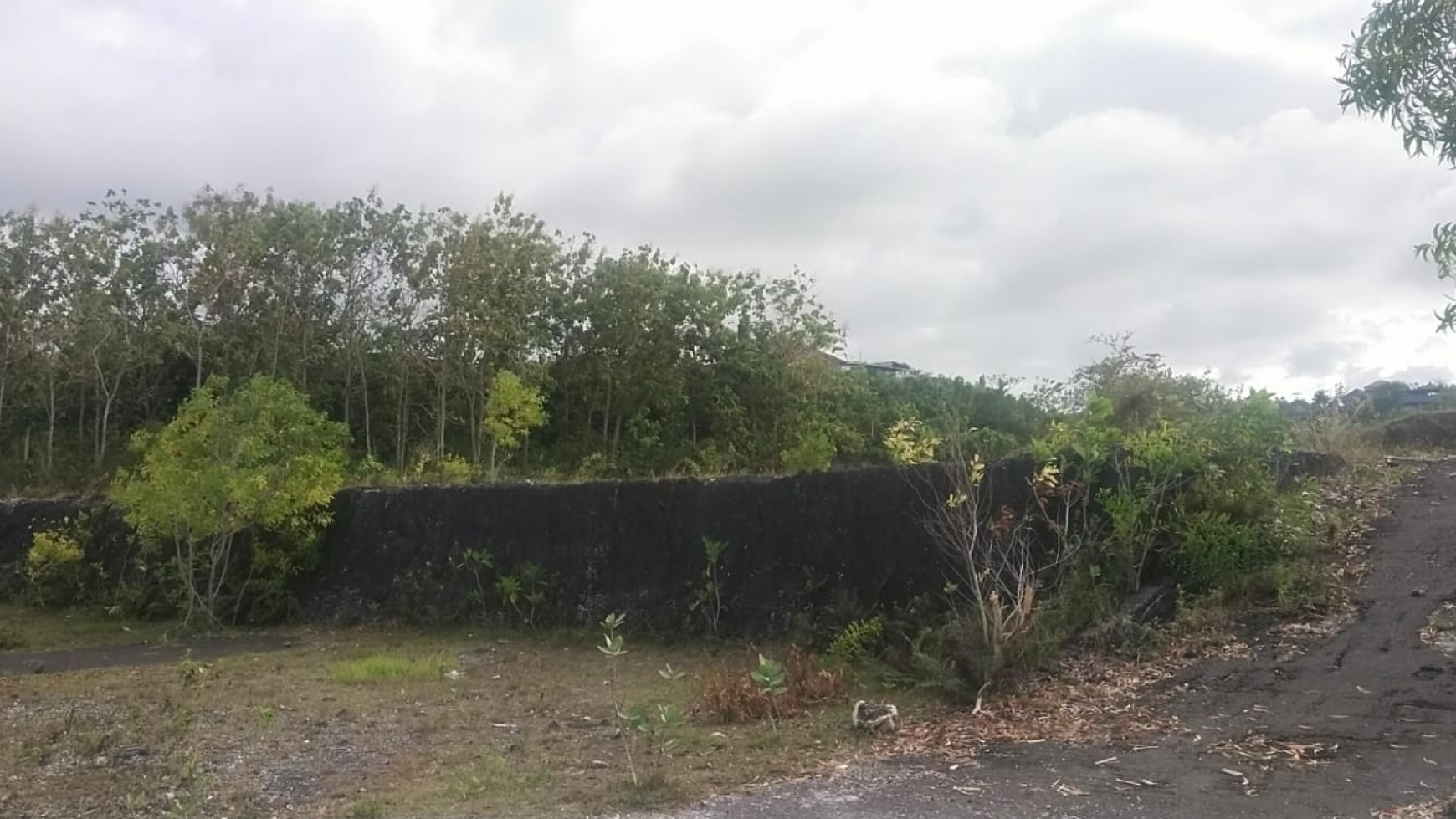 Freehold land 13800 sqm area Ungasan - Jimbaran