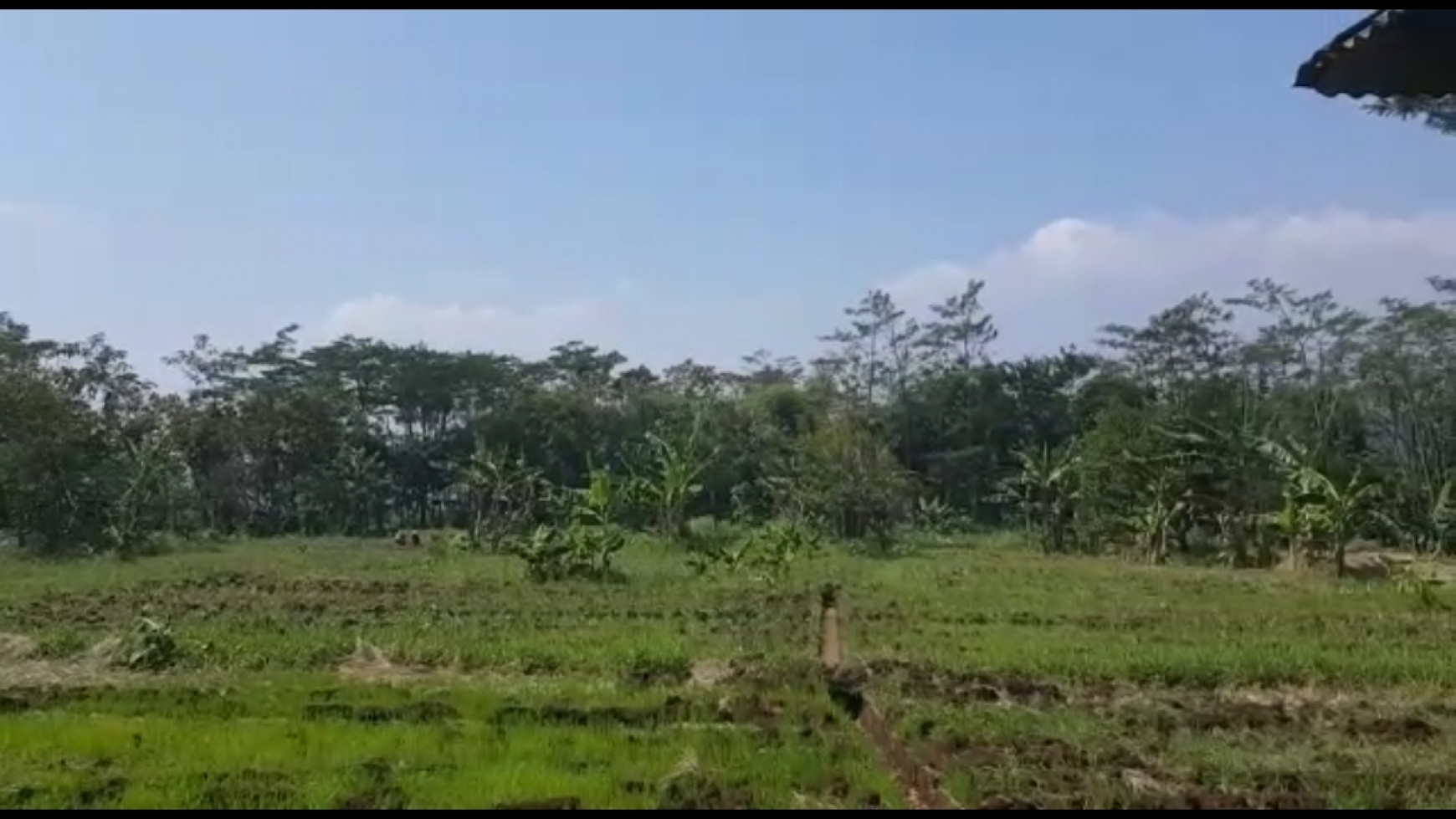 437. Dijual murah Tanah & bangunan di Jl Raya Purwodadi sebelah Kebun Raya Purwodadi