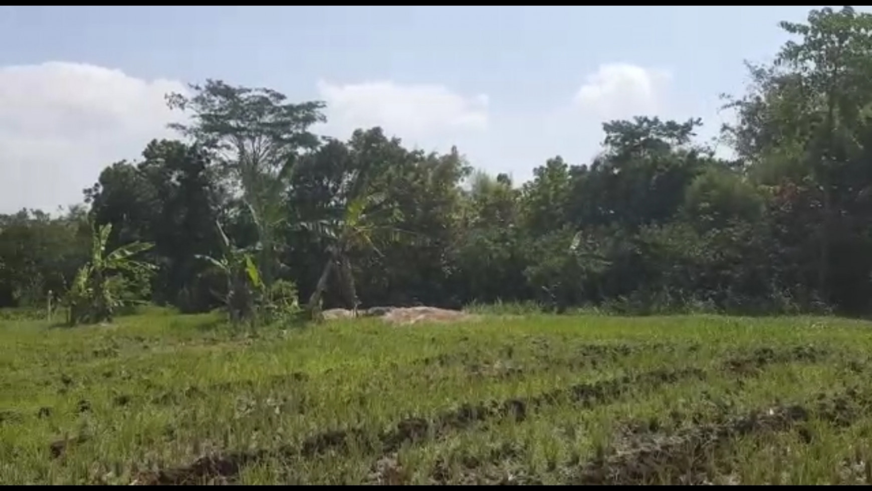 437. Dijual murah Tanah & bangunan di Jl Raya Purwodadi sebelah Kebun Raya Purwodadi