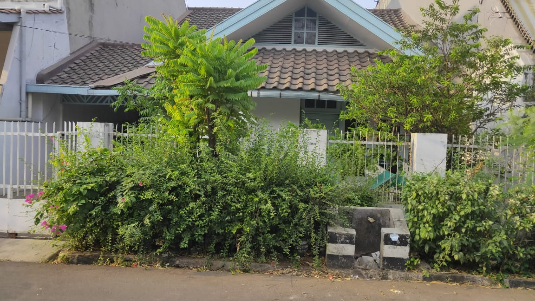 Rumah standart 1 lantai yang asri, Harga Nego di Kayu Putih Jakarta Timur