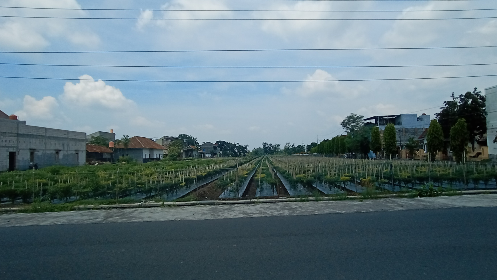 RUMAH KOST DEKAT KAMPUS SADHAR&ATMAJAYA MAGUWOHARJO