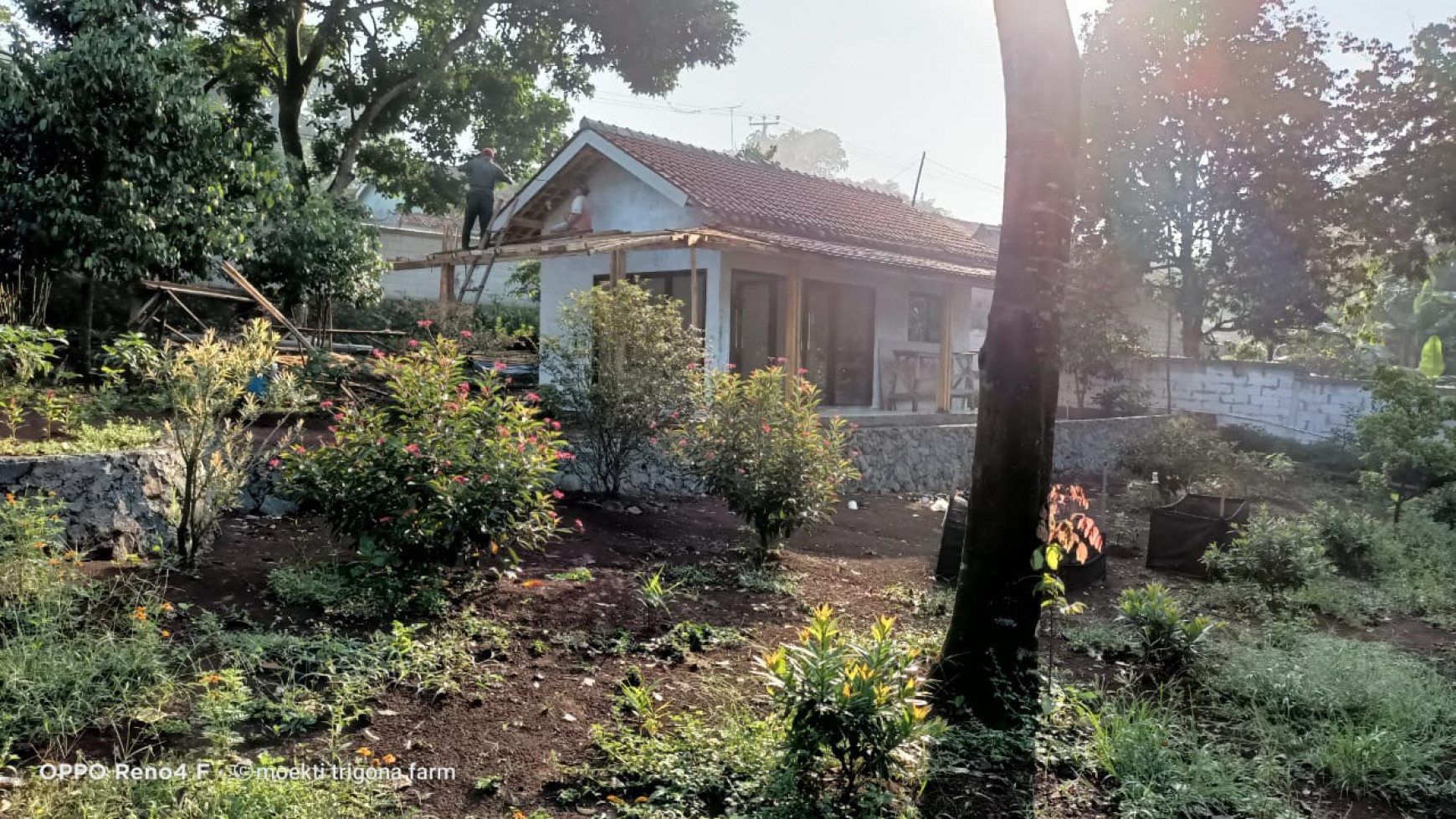 TANAH KEBUN DI DESA RUMPIN BOGOR