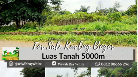 Kavling MURAH  di Cikoleang, Bogor Luas Tanah 5000m hanya 650 Ribu Nego