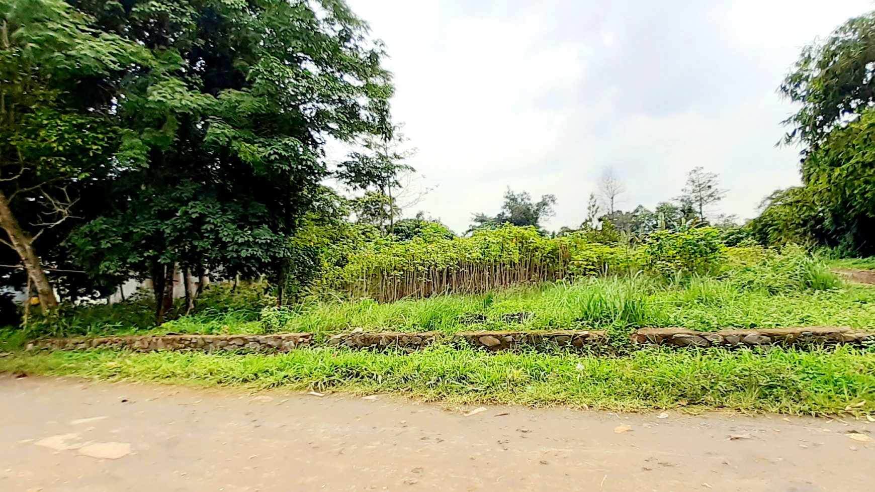 Kavling MURAH  di Cikoleang, Bogor Luas Tanah 5000m hanya 650 Ribu Nego