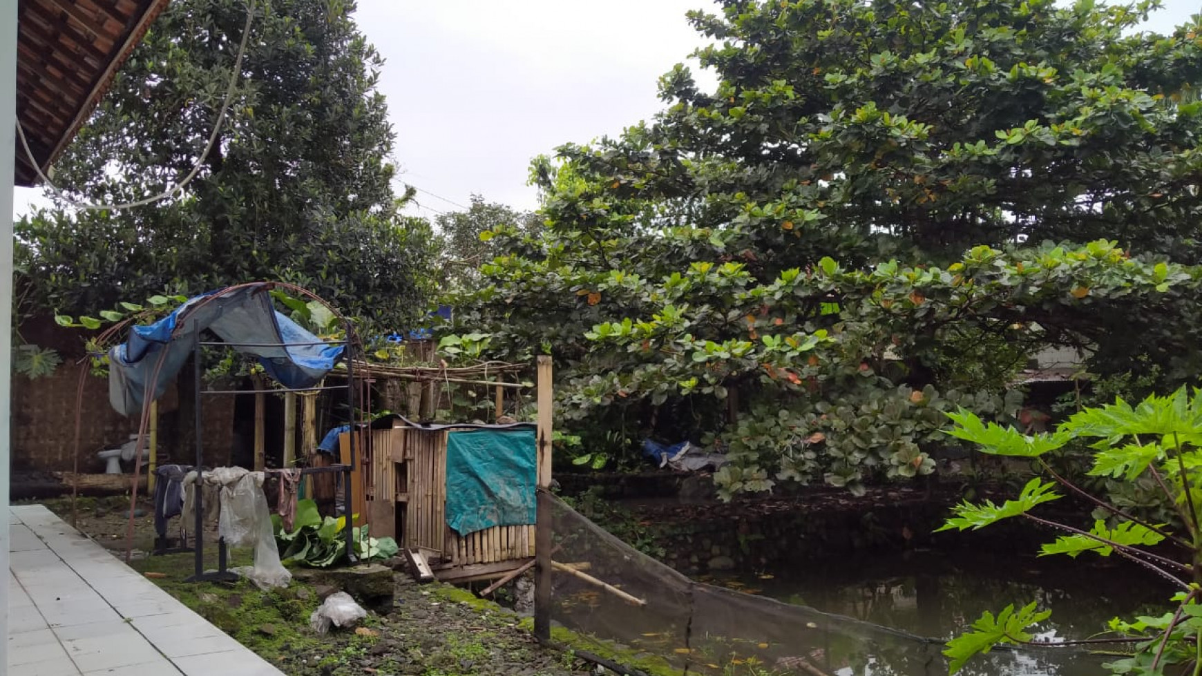 Dijual Kavling Terdapat 2 Bangunan Kayu dan Batu @Desa Pegelaran, Ciomas, Bogor