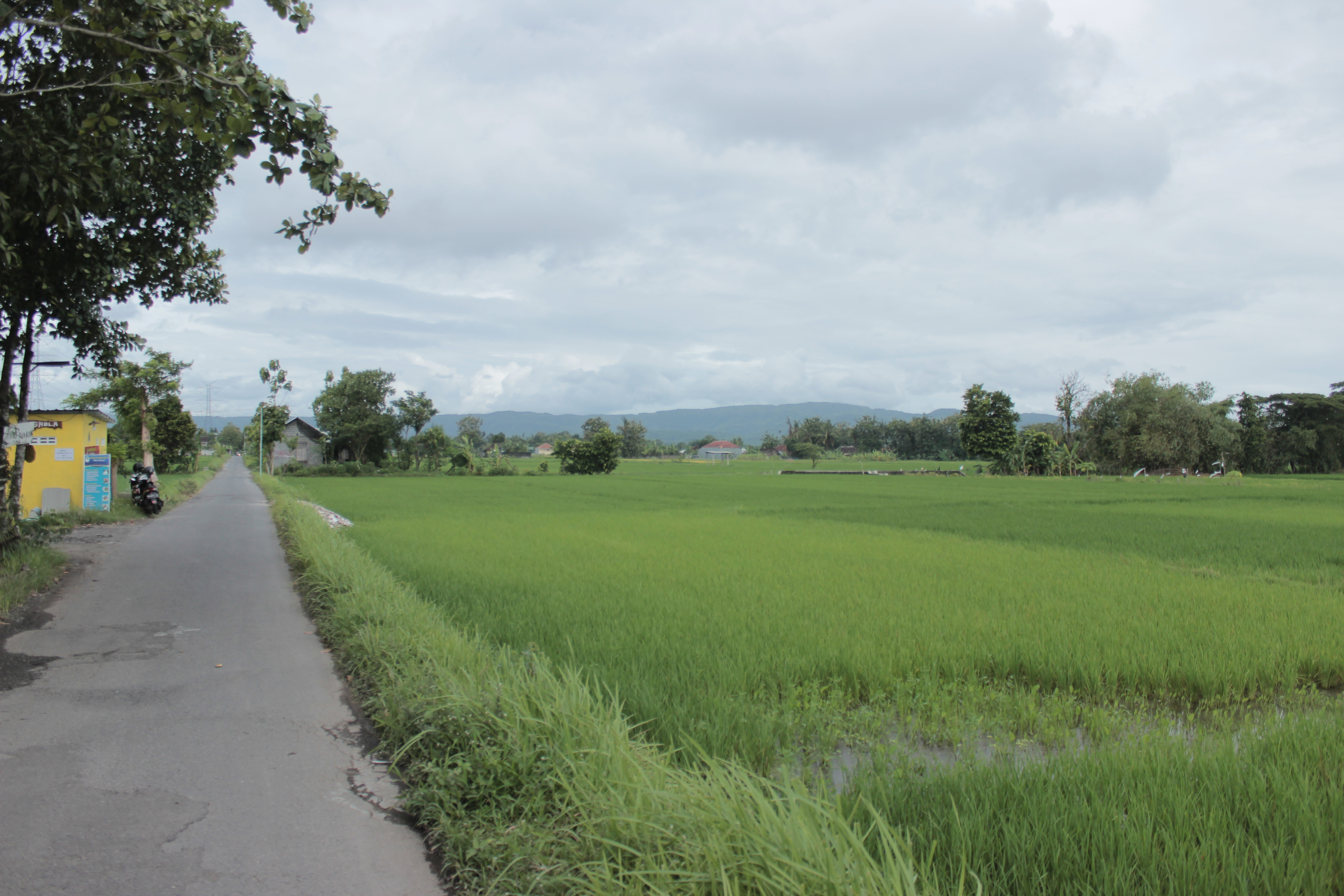 TANAH PEKARANGAN SELUAS 514 METER PERSEGI, DI GABUSAN, SEWON, BANTUL