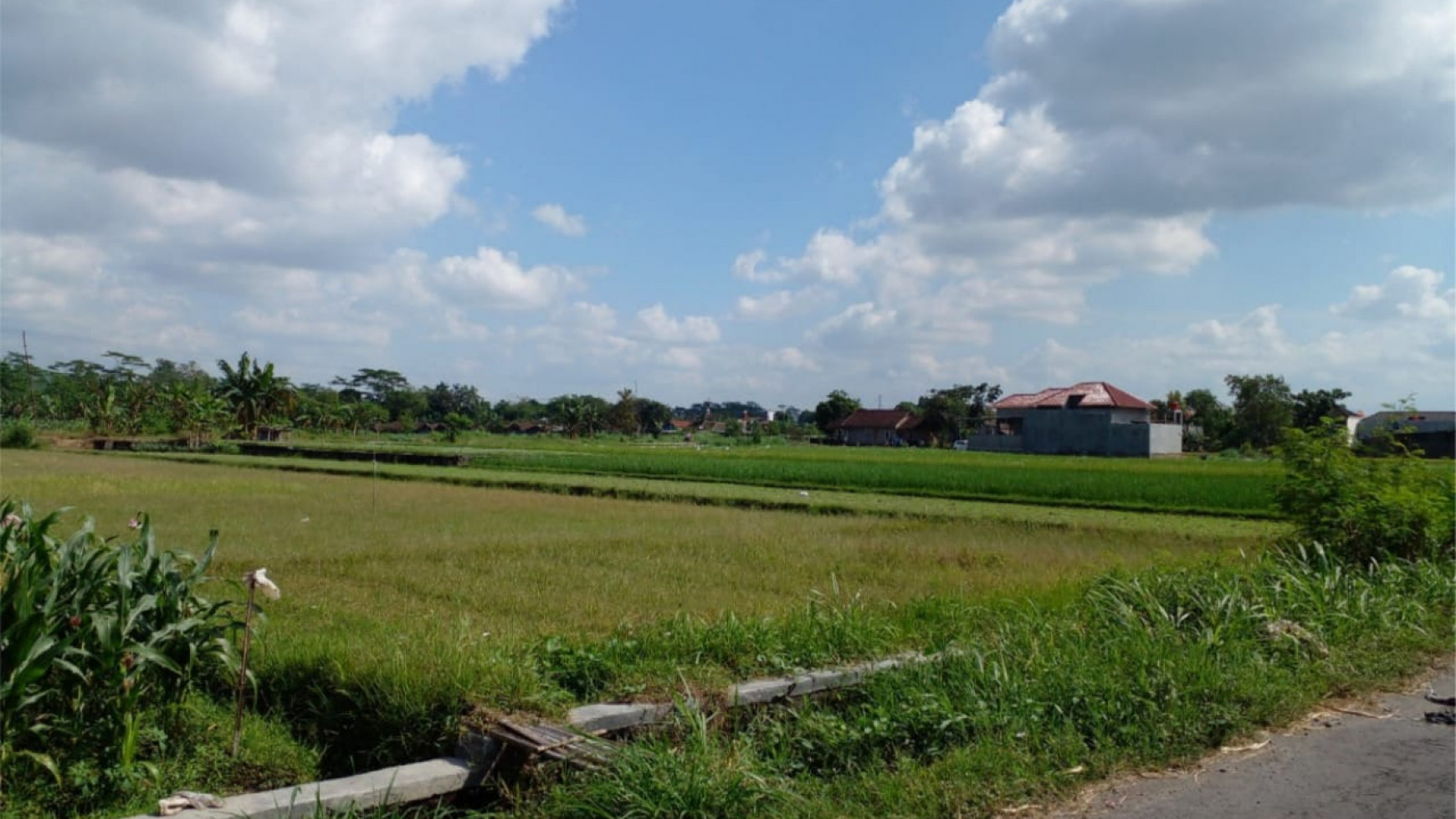 Tanah Pekarangan Luas 1855 Meter Persegi Dekat Akademi Angkatan Udara Jl Raya Solo-Yogyakarta