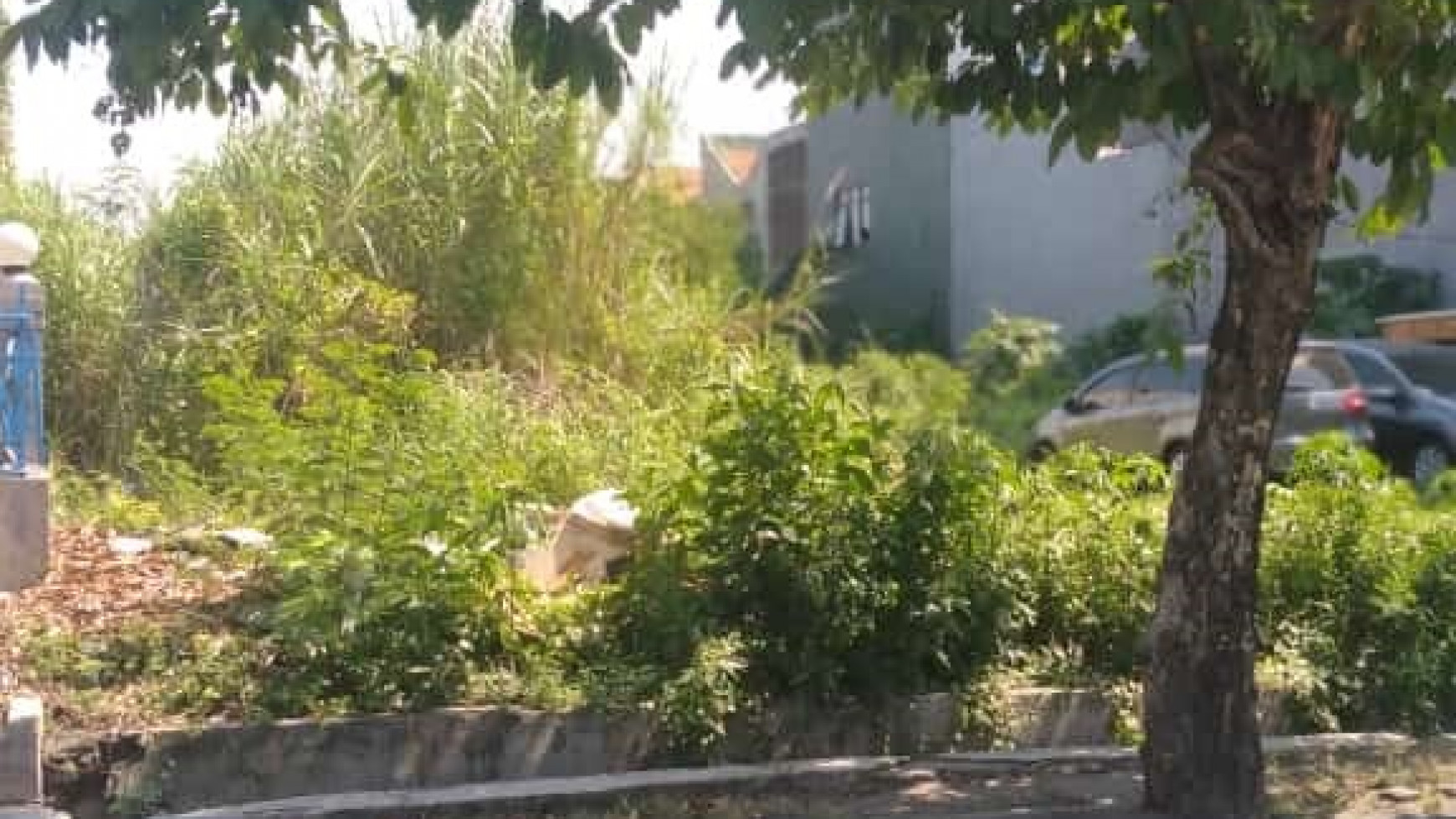 Dijual Tanah SHM di Nol Jalan Jambangan Kebon Agung, Surabaya