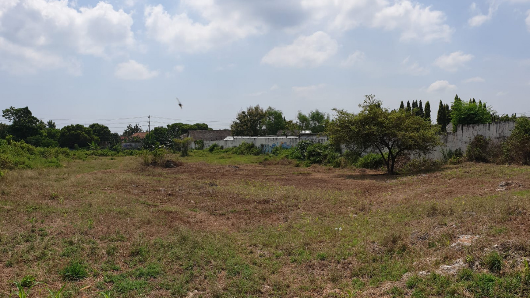 Dijual 3,7 Ha Gudang Hitung Tanah - Lokasi Nol Jalan Pahlawan - Semanding - Kab.Tuban - Jawa Timur 