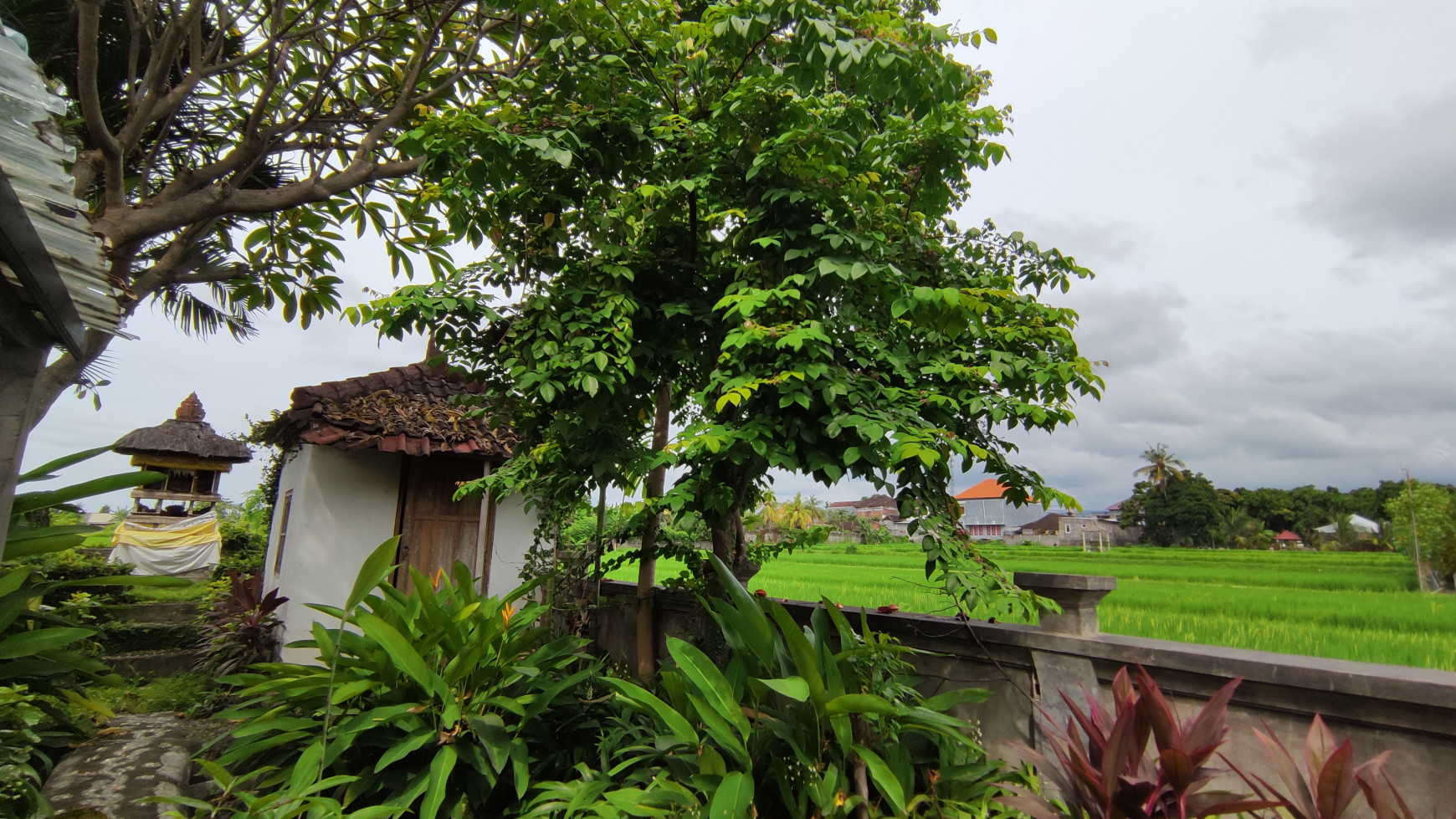 Popular Restaurant includes a house in Lovina Area