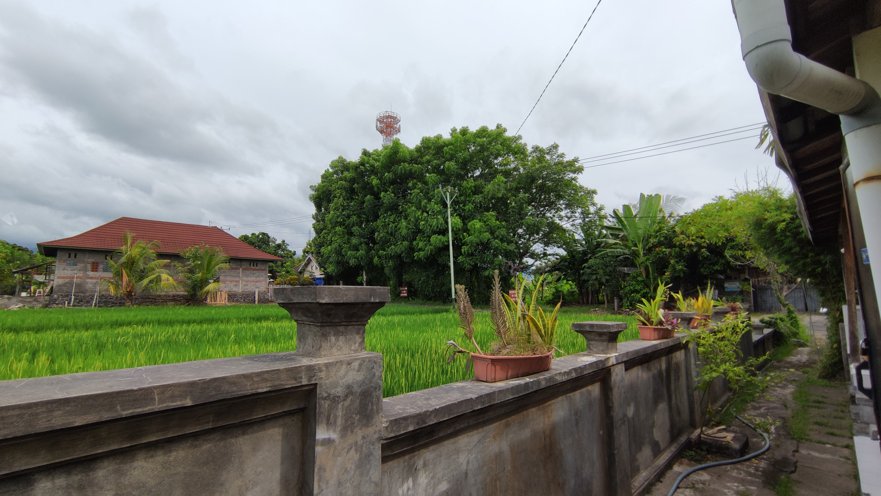 Popular Restaurant includes a house in Lovina Area