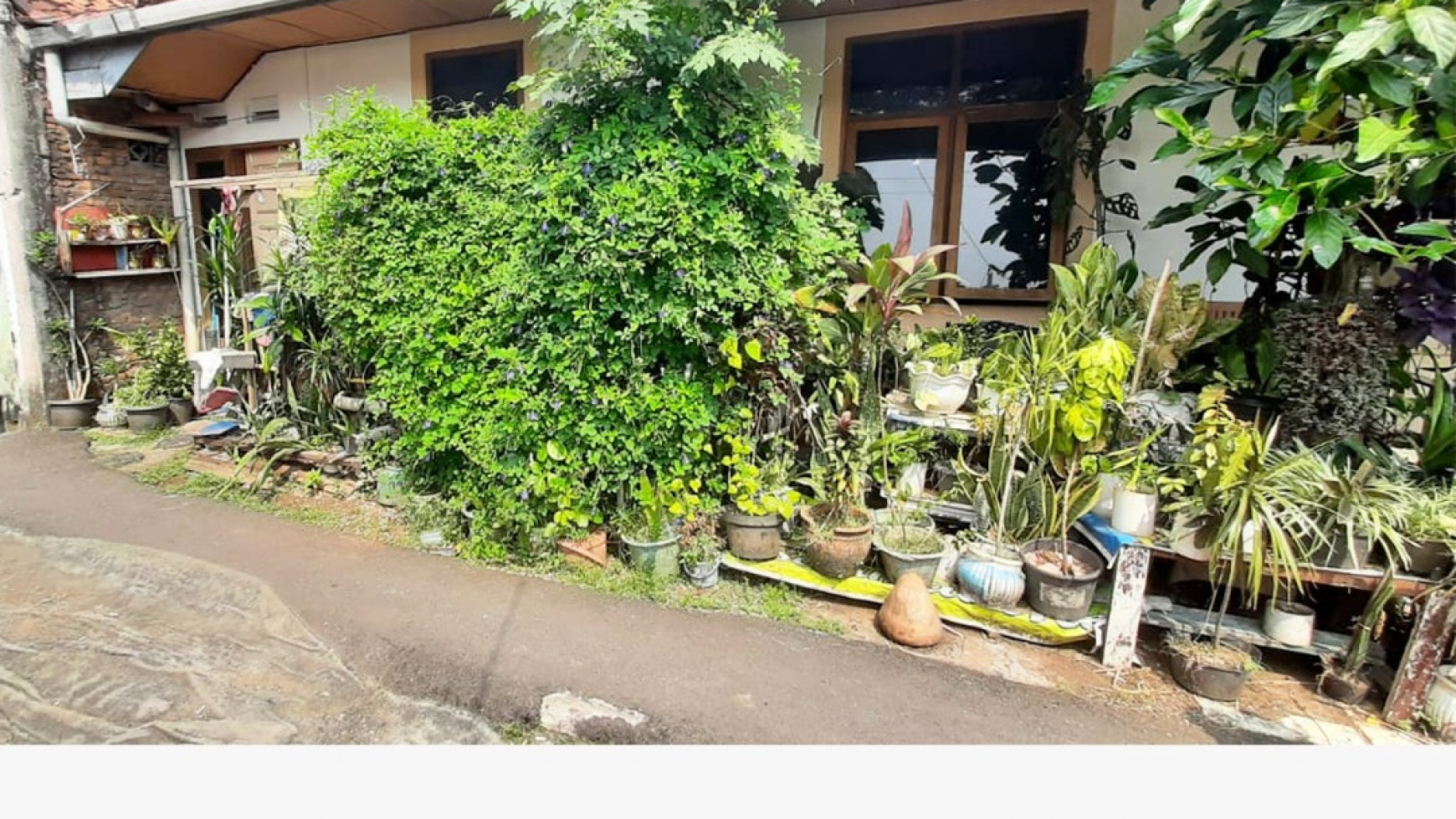 Dijual Rumah Pondo Pinang 