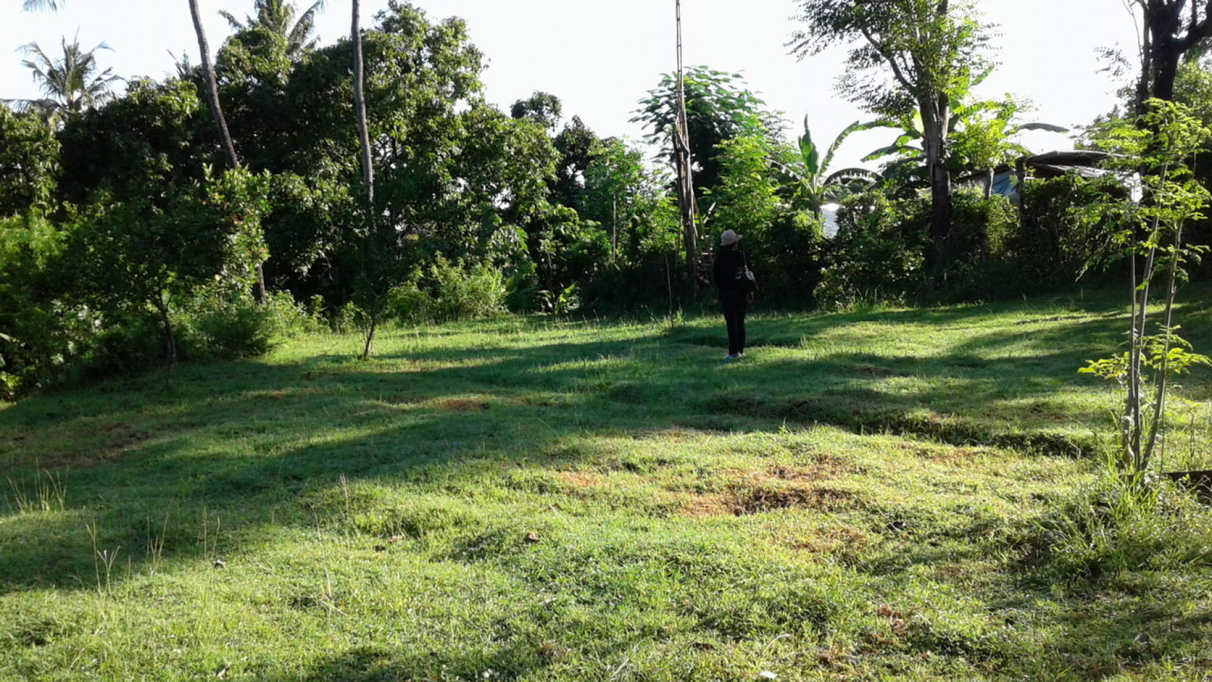 land for sale with ocean view in lovina hills