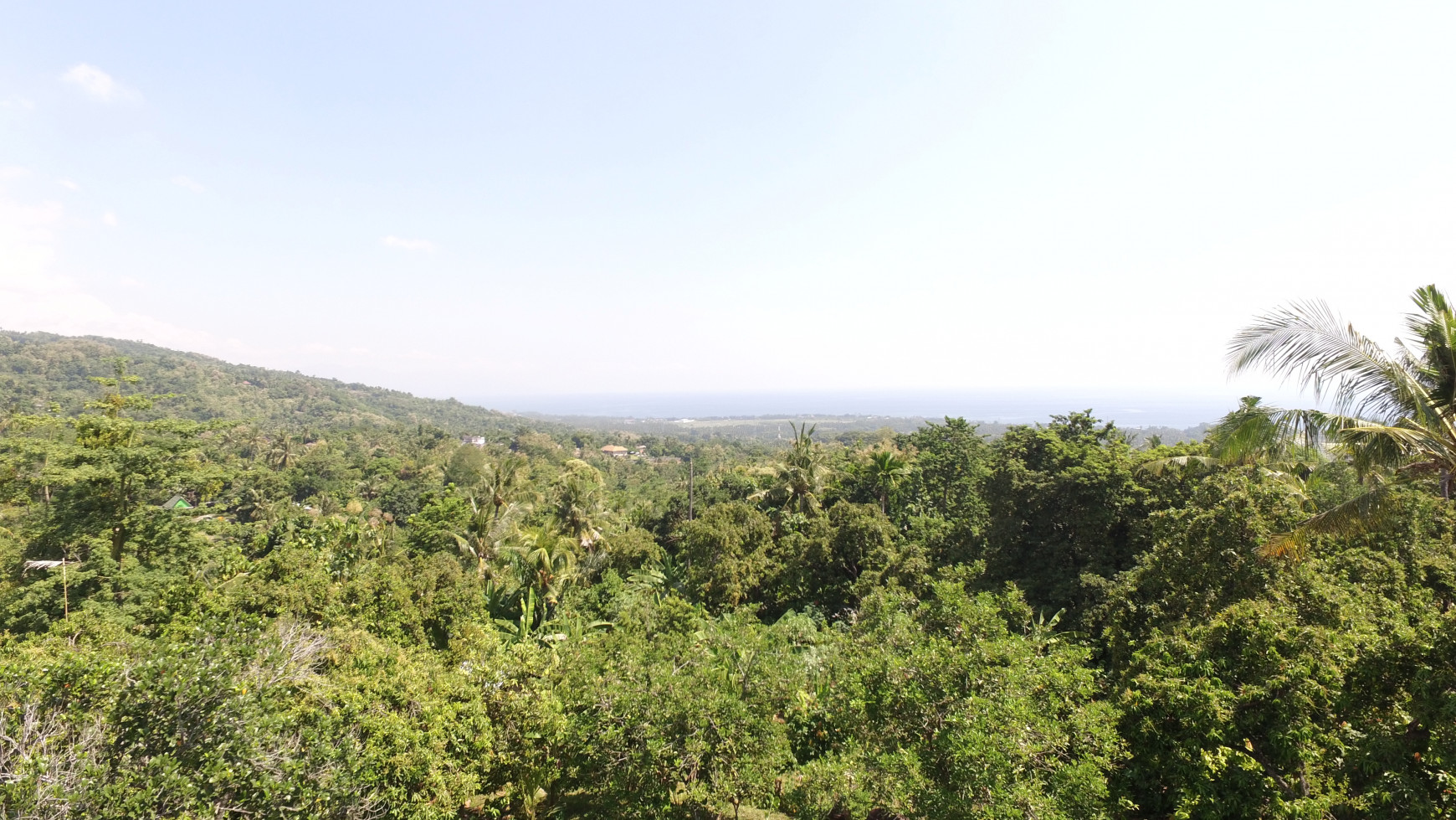 land for sale with ocean view in lovina hills