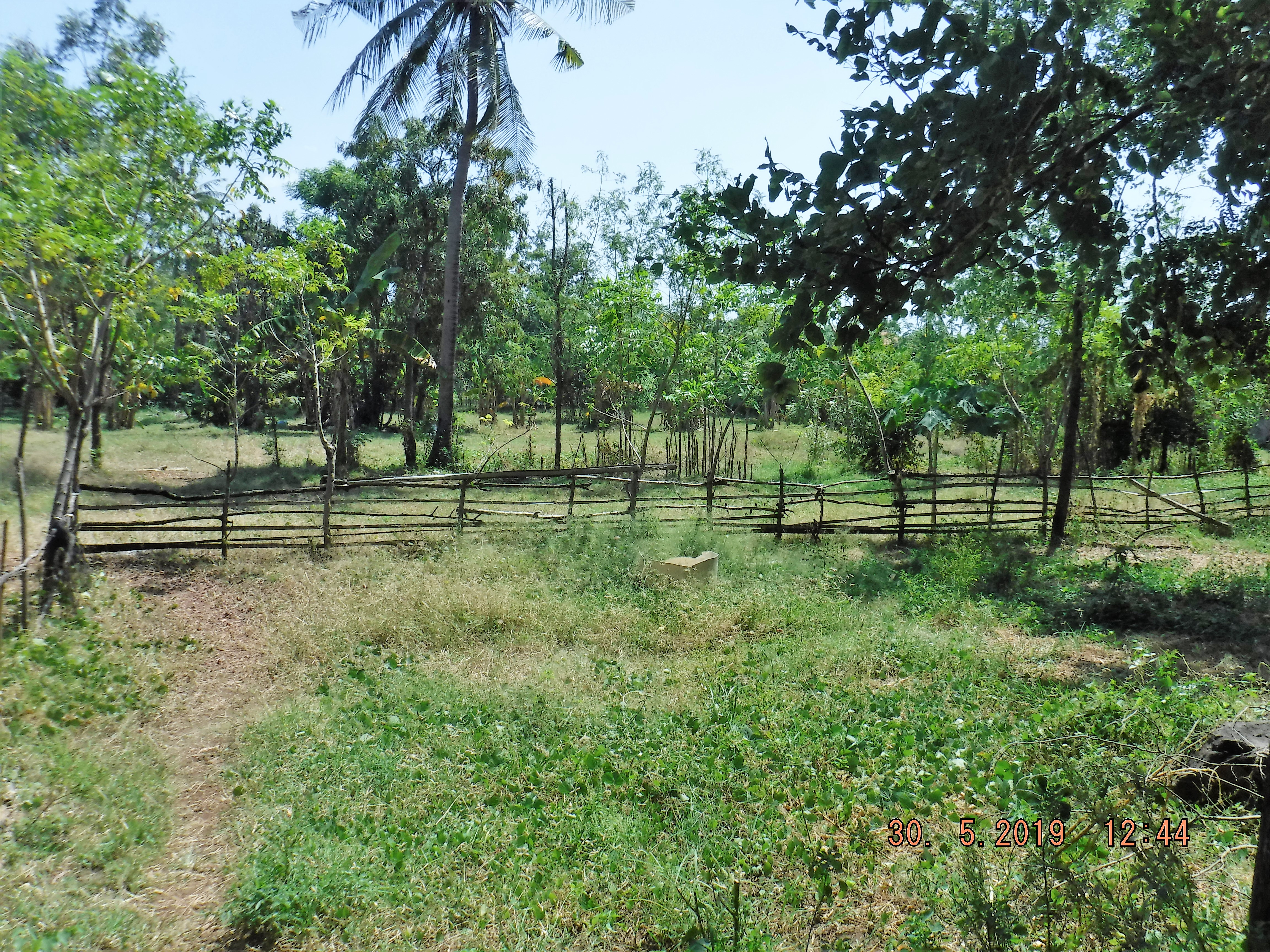 1760 M2 Beach side land starting at 60.000 Euro in Pemuteran