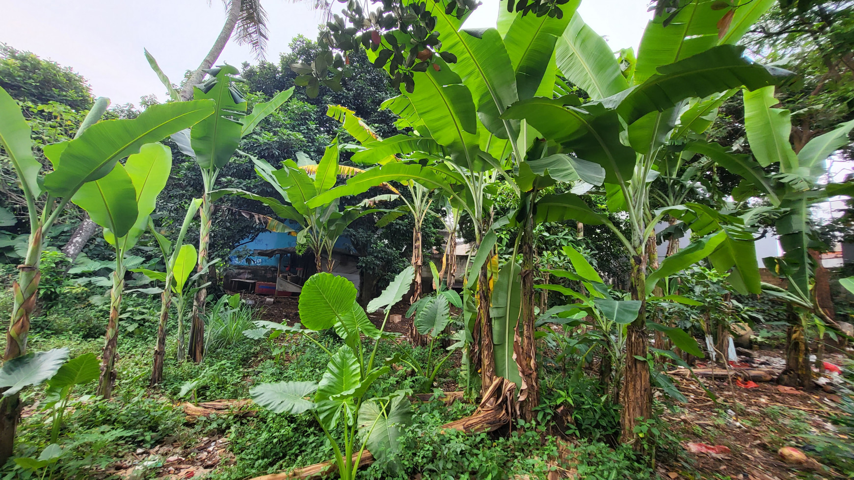 Dijual kavling  luas dan strategis di pondok cabe dekat bandara