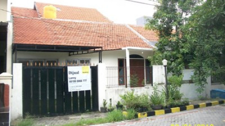 Rumah 1.5 Lantai, Bagus + Terawat, Row Jalan depan Lebar + Paving, Siap Huni - LS -