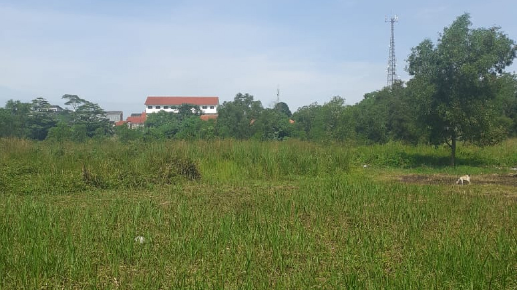 Dijual Tanah Tangerang 