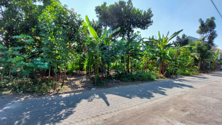 Tanah 625 Meter Persegi Dibelakang Hotel Lotus Jl Magelang Sleman
