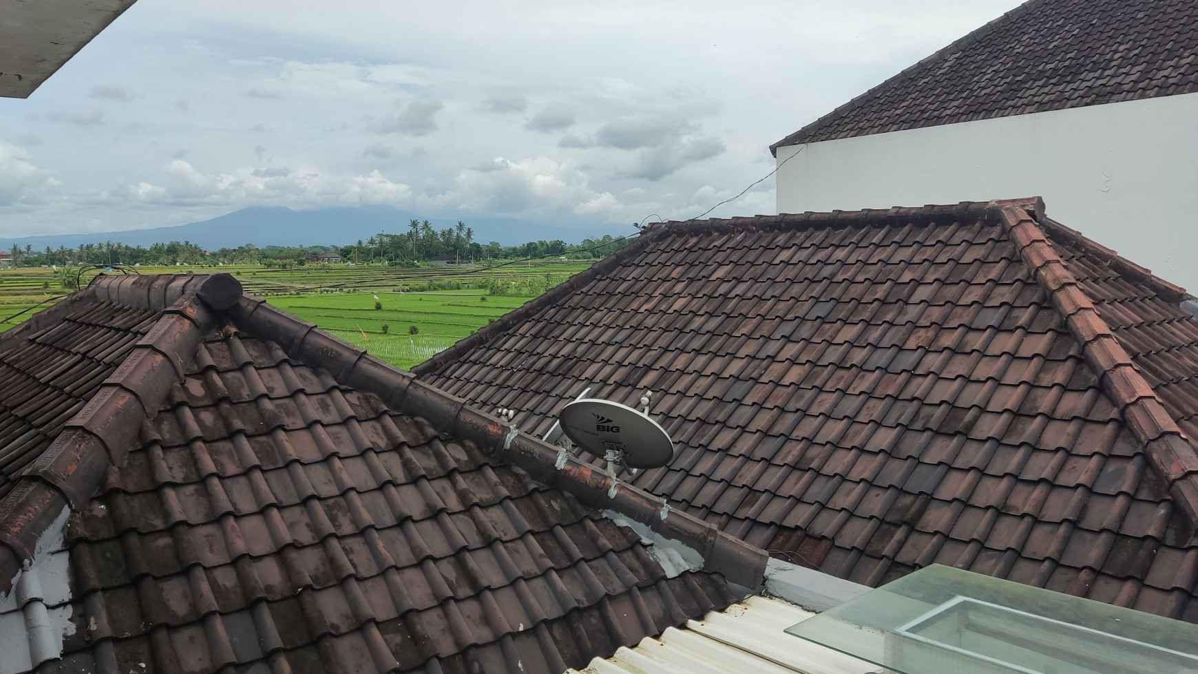 Freehold  2-bedrooms house with amazing rice field view located at jalan Tanah Lot Pandak Gede