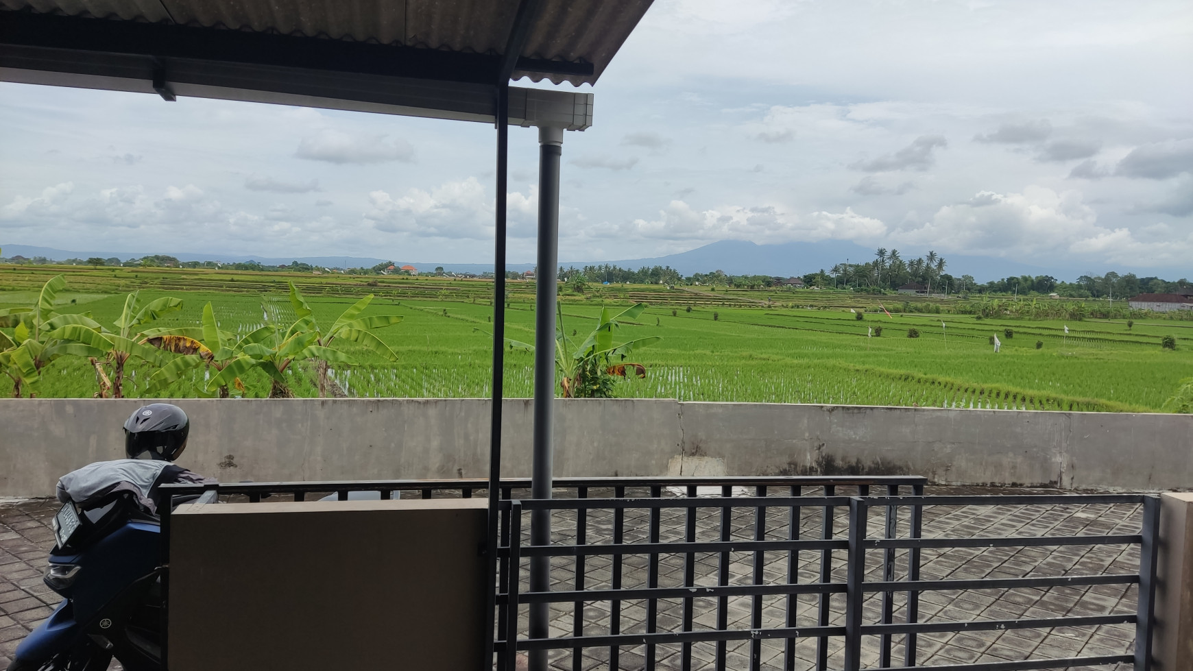 Freehold  2-bedrooms house with amazing rice field view located at jalan Tanah Lot Pandak Gede