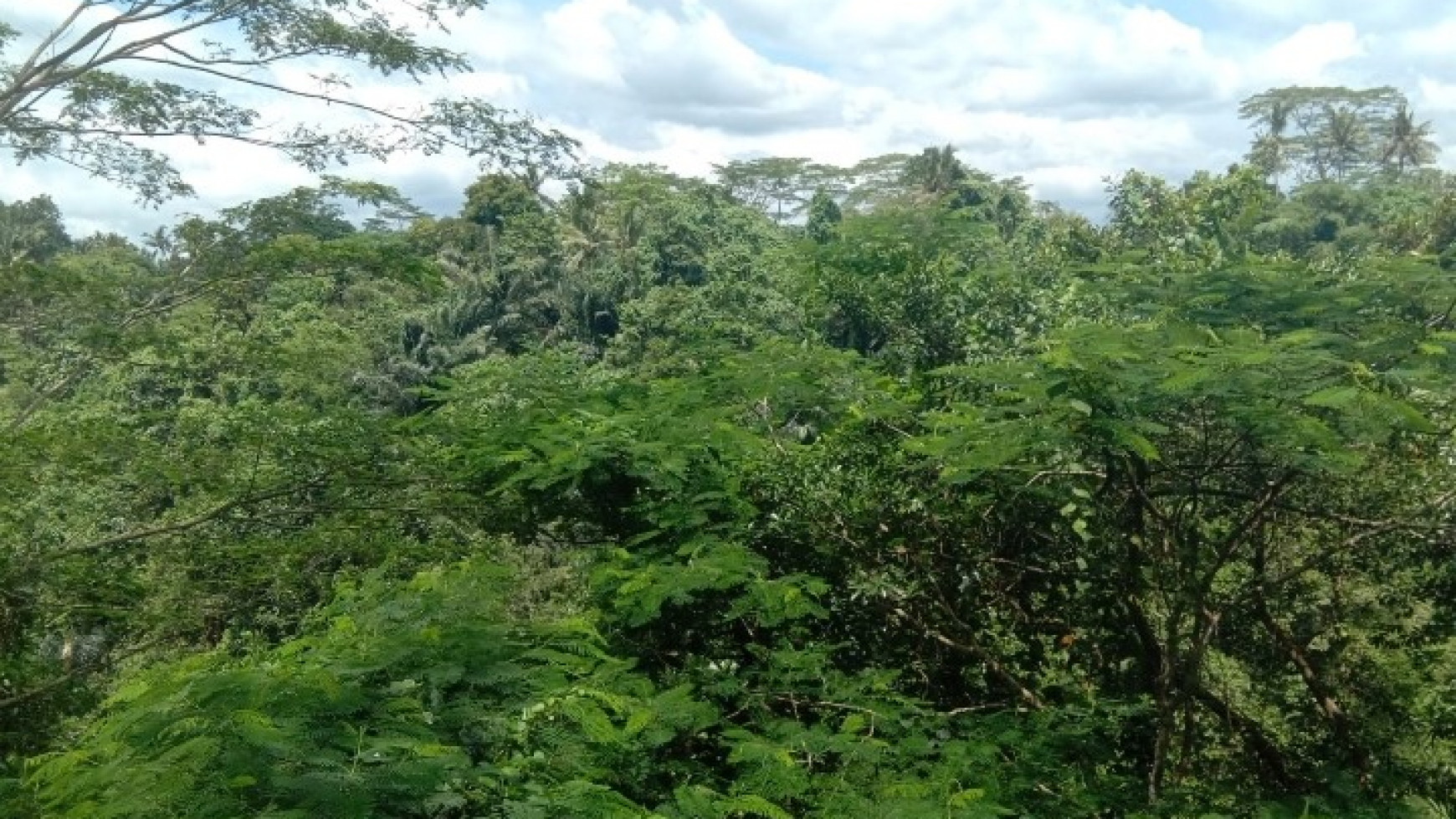 Freehold land in Kelabang Moding , Ubud