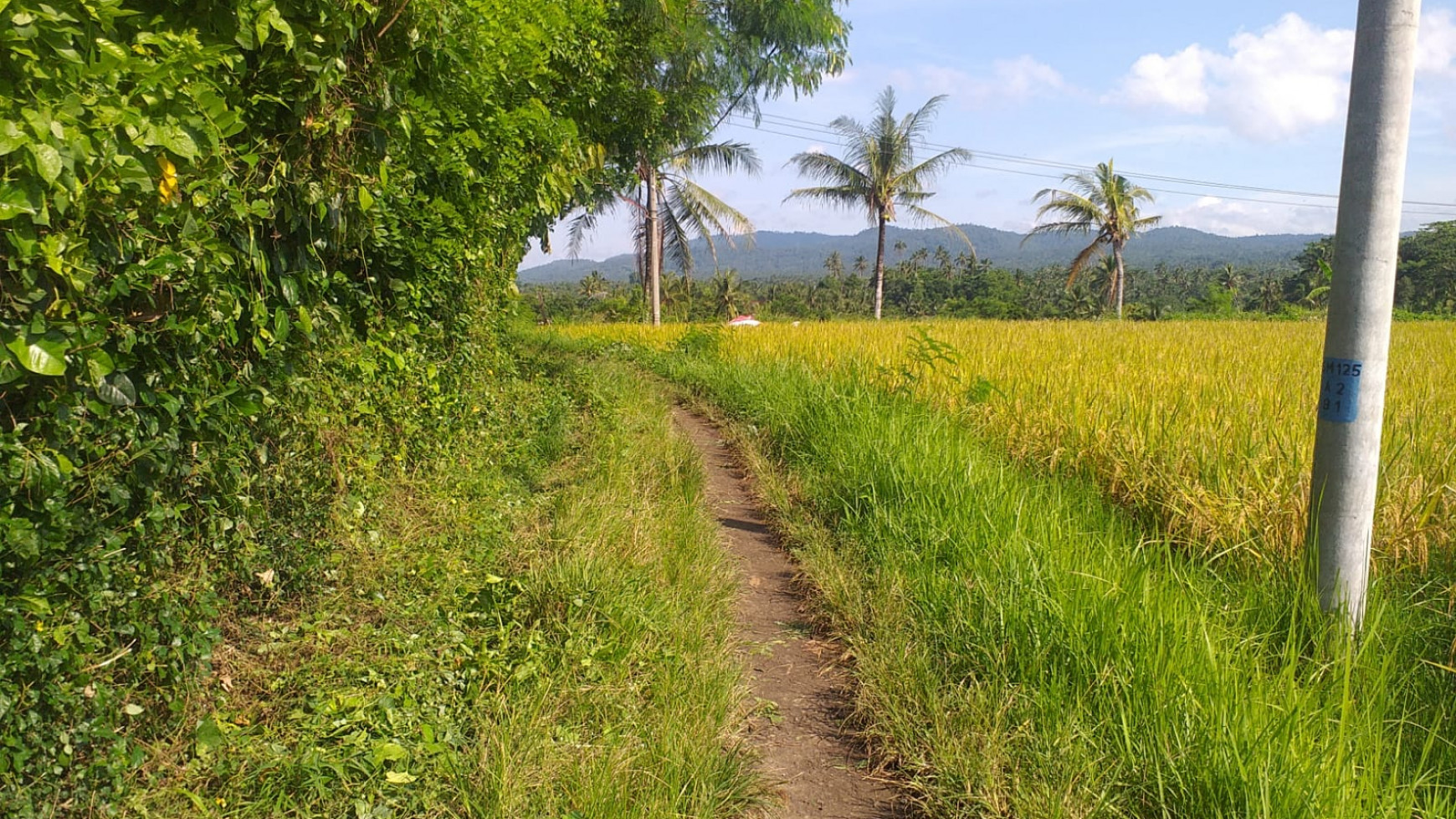 Land with a beautiful view of Soka Beach Road